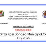NAFASI za Kazi Songea Municipal Council July 2025