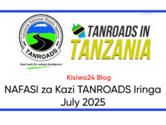 NAFASI za Kazi TANROADS Iringa July 2025 NAFASI za Kazi TANROADS Iringa July 2025