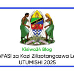 NAFASI za Kazi Zilizotangazwa Leo UTUMISHI August 2025