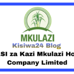 NAFASI za Kazi Mkulazi Holding Company Limited