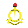 NAFASI za Kazi Jeshi la Magereza Tanzania
