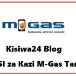 NAFASI za Kazi M-Gas Tanzania