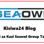 NAFASI za Kazi Seaowl Group Tanzania