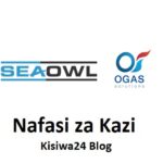 NAFASI za Kazi Seaowl Group Tanzania