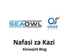 NAFASI za Kazi Seaowl Group Tanzania