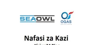 NAFASI za Kazi Seaowl Group Tanzania