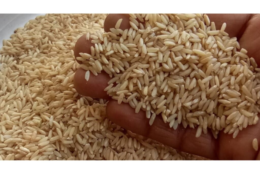 Bei ya Mchele wa Biriani Basmati Bei ya Mchele wa Biriani Basmati