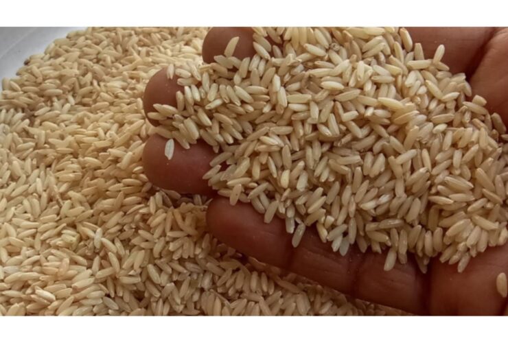 Bei ya Mchele wa Biriani Basmati