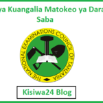 Jinsi ya Kuangalia Matokeo ya Darasa la Saba