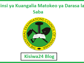 Jinsi ya Kuangalia Matokeo ya Darasa la Saba