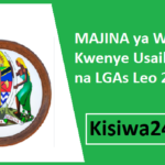MAJINA ya Walioitwa Kwenye Usaili MDAs na LGAs Leo 2025