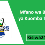 Mfano wa Barua ya Kuomba Tenda