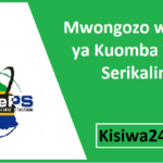 Mwongozo wa Jinsi ya Kuomba Tenda Serikalini