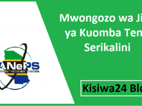 Mwongozo wa Jinsi ya Kuomba Tenda Serikalini