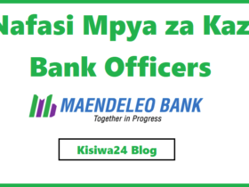 NAFASI 11 za Kazi Bank Officers Kutoka Maendeleo Bank PLc