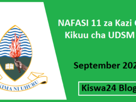 NAFASI 11 za Kazi Chuo Kikuu cha UDSM September 2025