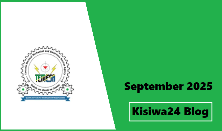 NAFASI 13 za Kazi TEMESA Tanzania September 2025