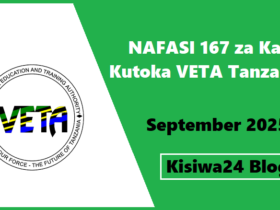 NAFASI 167 za Kazi Kutoka VETA Tanzania September 2025