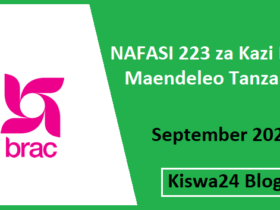 NAFASI 223 za Kazi BRAC Maendeleo Tanzania September 2025