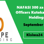 NAFASI 300 za Sales Officers Kutoka Hope Holdings September 2025