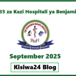 NAFASI 35 za Kazi Hospitali ya Benjamin Mkapa (BMH) September 2025