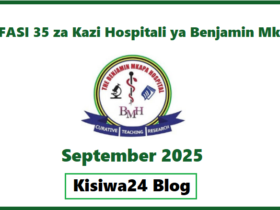 NAFASI 35 za Kazi Hospitali ya Benjamin Mkapa (BMH) September 2025