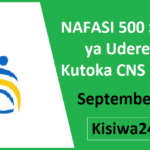 NAFASI 500 za Kazi ya Udereva Kutoka CNS Group September 2025