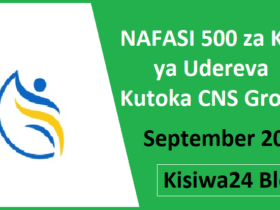 NAFASI 500 za Kazi ya Udereva Kutoka CNS Group September 2025