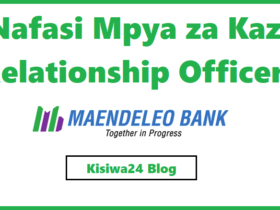 NAFASI 6 za Kazi Relationship Officers Kutoka Maendeleo Bank PLc