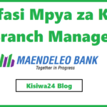 NAFASI za Kazi Branch Manager Kutoka Maendeleo Bank PLc