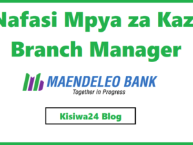 NAFASI za Kazi Branch Manager Kutoka Maendeleo Bank PLc