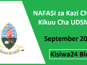 NAFASI za Kazi Chuo Kikuu Cha UDSM September 2025