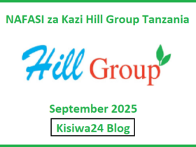 NAFASI za Kazi Hill Group Tanzania September 2025