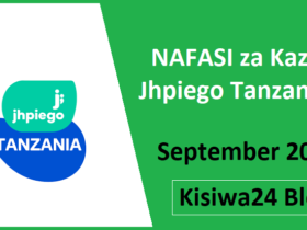 NAFASI za Kazi Jhpiego Tanzania September 2025