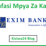 NAFASI za Kazi Kutoka Exim Bank Tanzania