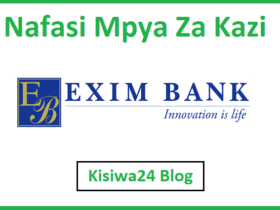 NAFASI za Kazi Kutoka Exim Bank Tanzania