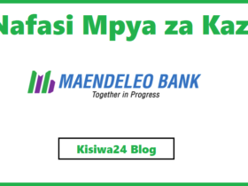 NAFASI za Kazi Kutoka Maendeleo Bank PLc