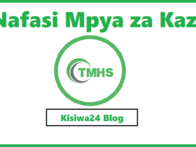 NAFASI za Kazi Kutoka TMHS Tanzania