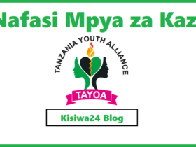 NAFASI za Kazi Kutoka Tanzania Youth Alliance (TAYOA)