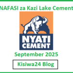 NAFASI za Kazi Lake Cement September 2025
