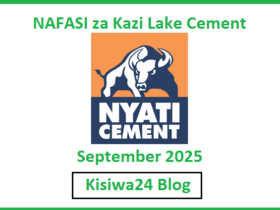NAFASI za Kazi Lake Cement September 2025