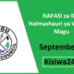 NAFASI za Kazi Magu District Council September 2025