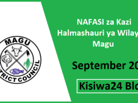 NAFASI za Kazi Magu District Council September 2025