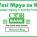 NAFASI za Kazi Manager Agency & Security Trustee Kutoka CRDB Bank