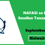 NAFASI za Kazi Smollan Tanzania Ltd September 2025