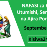 NAFASI za Kazi Utumishi, Serikalini na Ajira Portal September 2025