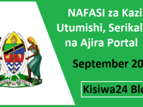 NAFASI za Kazi Utumishi, Serikalini na Ajira Portal September 2025