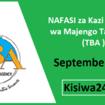 NAFASI za Kazi Wakala wa Majengo Tanzania (TBA ) September 2025