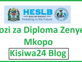 Kozi za Diploma Zenye Mkopo 2025/2026