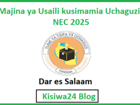 Majina ya Usaili kusimamia Uchaguzi NEC 2025 - Dar es Salaam